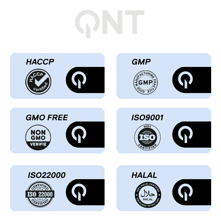 Proteina en polvo QNT - Vegan Protein Vainilla Macaroon 500 gr