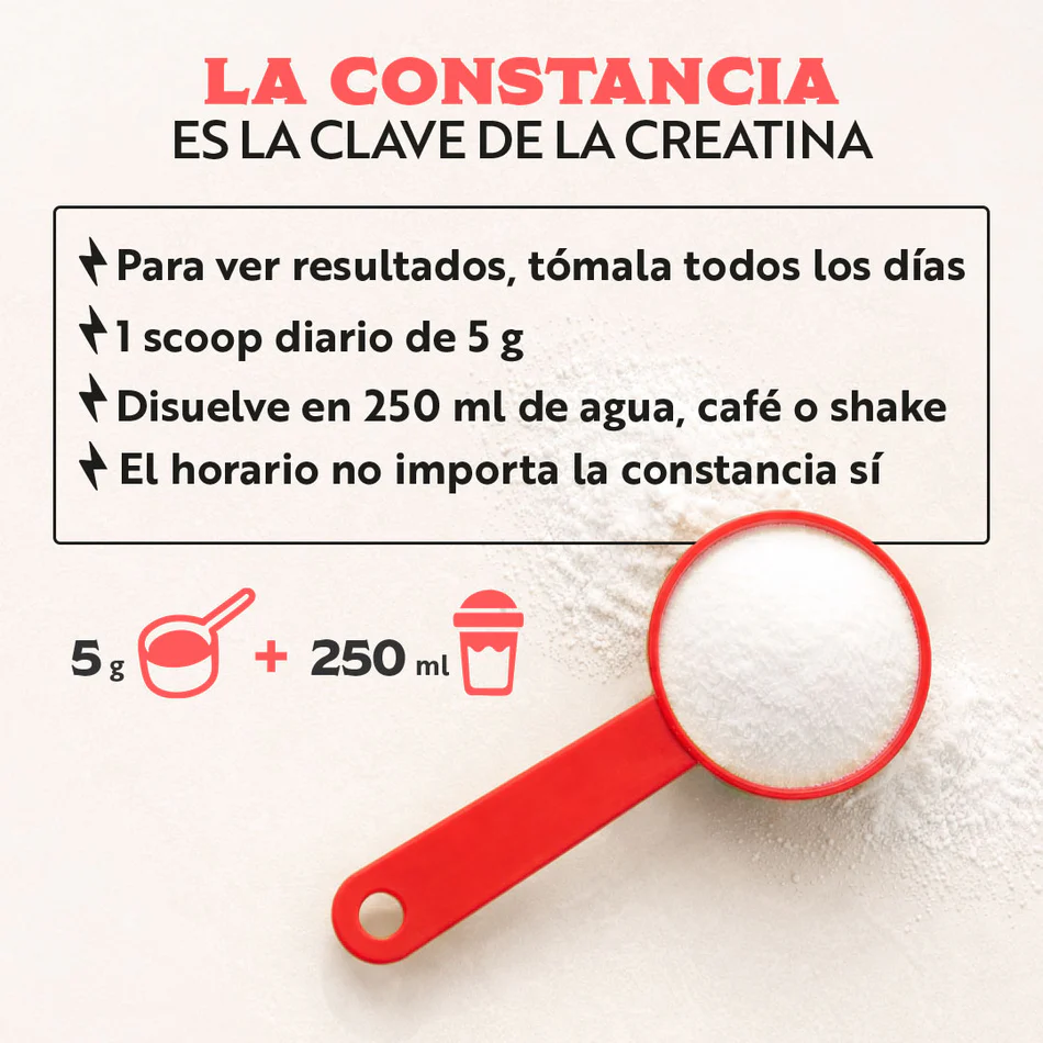 Creatina Monohidratada Wild Foods - 500 gr (100 servicios)